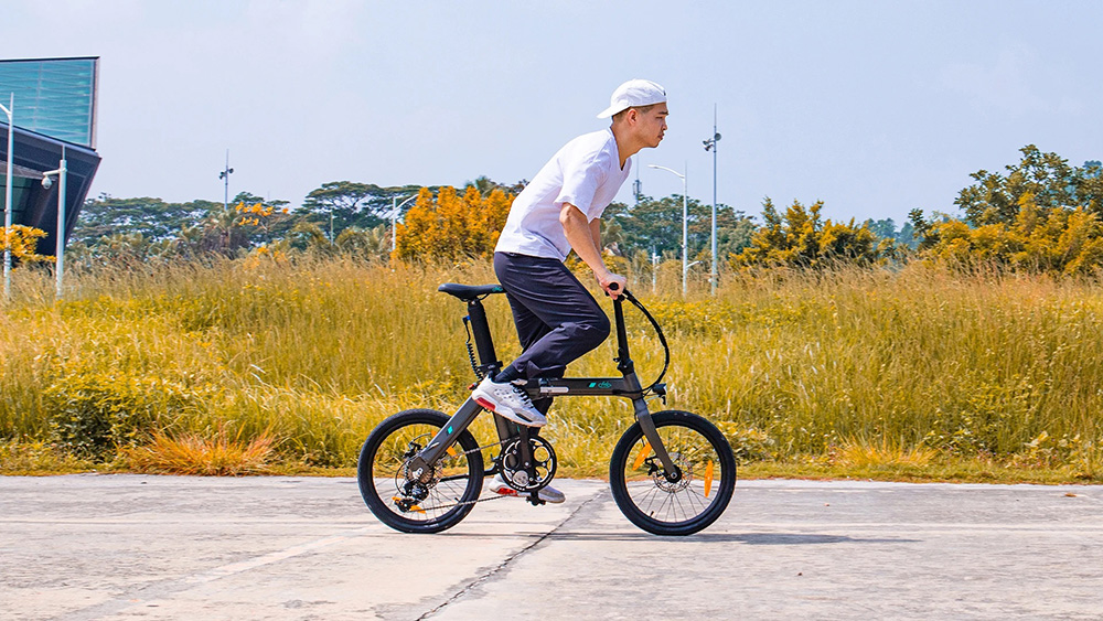FIIDO D21 Folding Electric Bike 20" Ultra-Light City Bicycle with Torque Sensor 250W Motor Max Speed 25km/h 36V 11.6AH Battery Up To 100km Range Max Load 120kg - Bronze