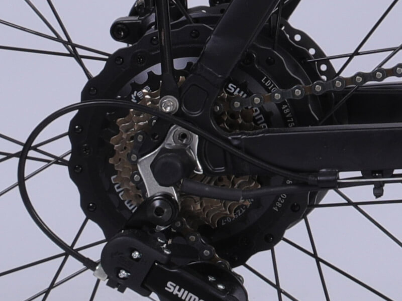 Electric Fat Tire Bike CMACEWHEEL GW20 750w motor ebikes this is Electric Fat Tire Bike CMACEWHEEL GW20 750w Motor image