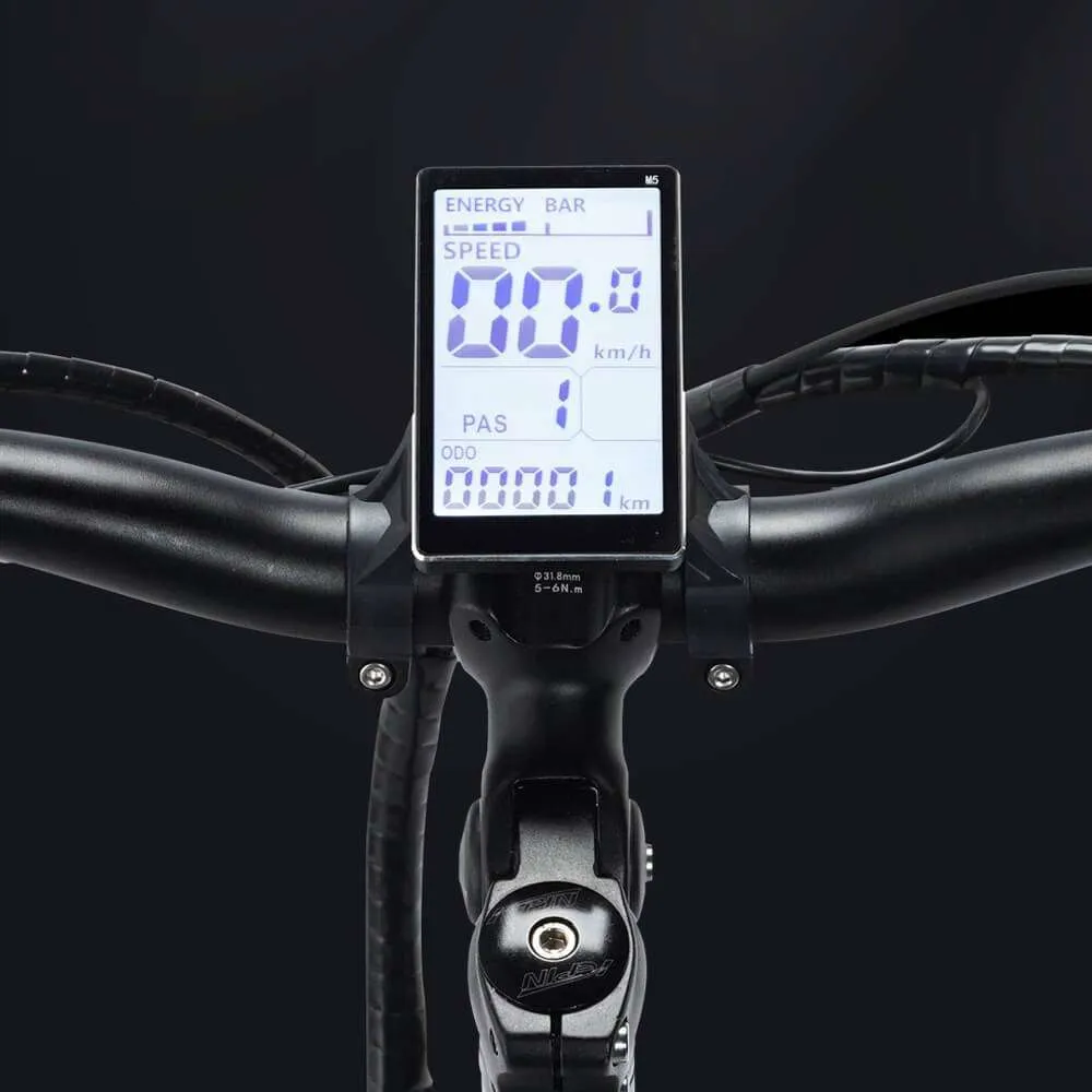 ridstar electric bike