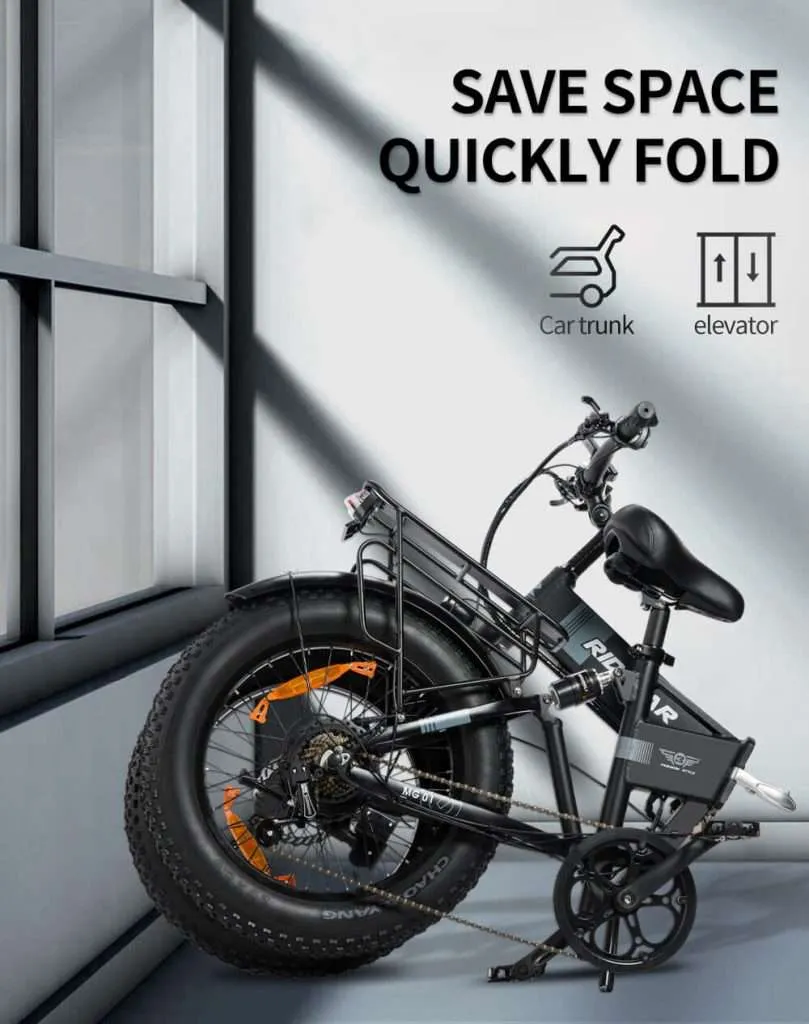 ridstar electric bike